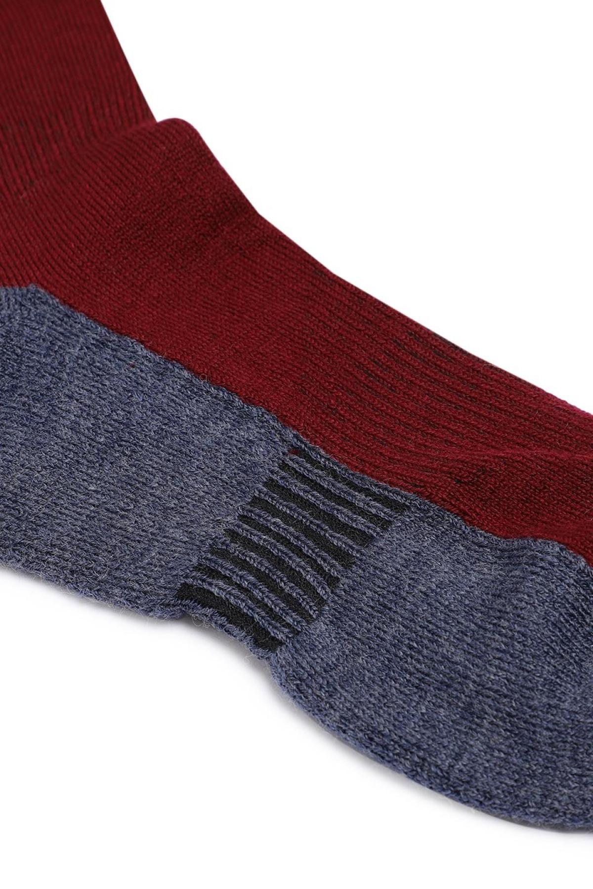 Cushioned Merino Wool Maroon-Grey Regular Socks | Men
